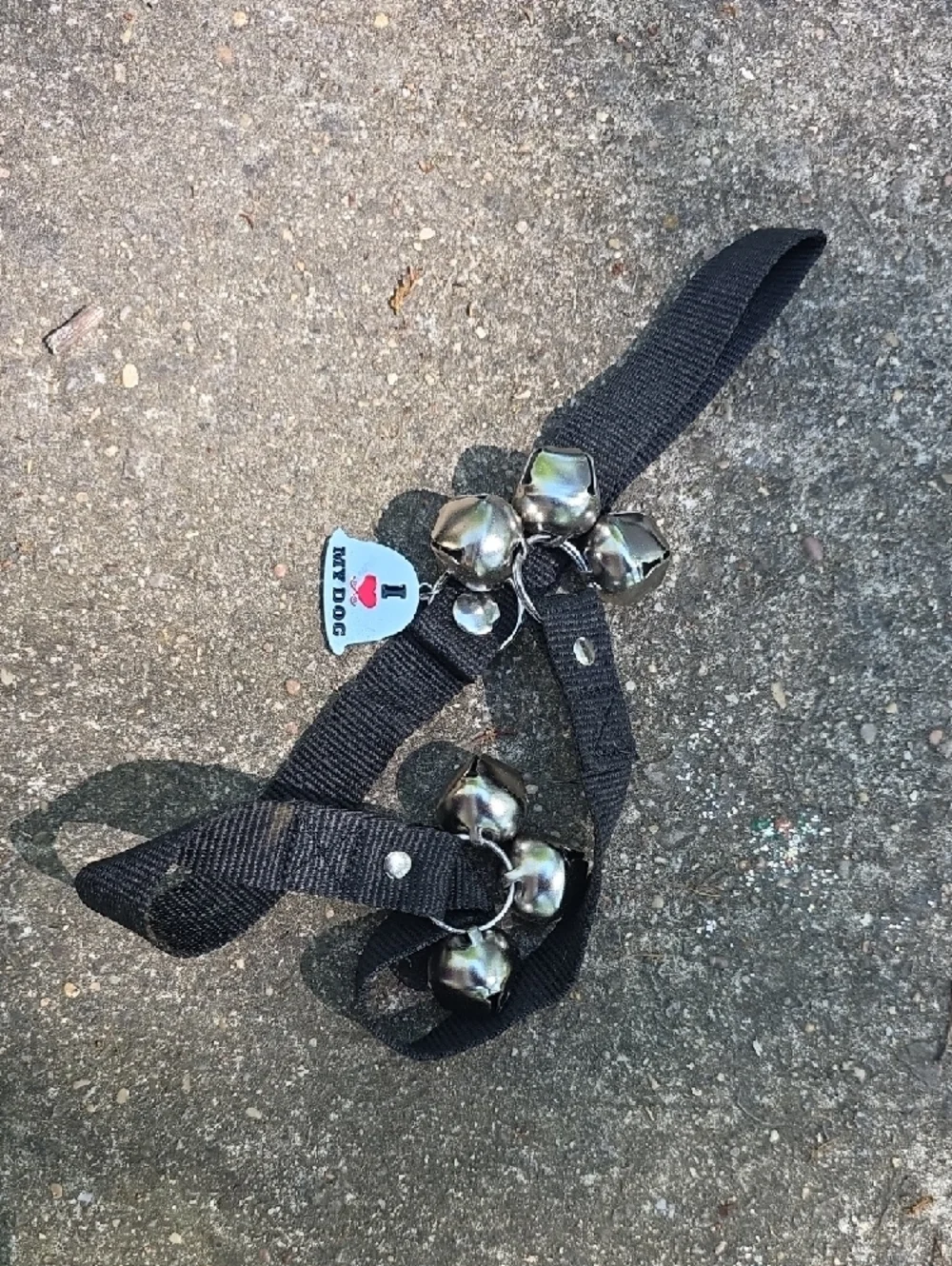 Black Webbing Strap with Clustered Silver Jingles